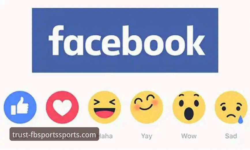 FBSports官网教程全面评测：从下载到投注的一站式指南